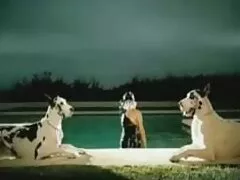 કલાપ્રેમી ચોર fucked ઇંગ્લીશ સેકસી વીડિયો નહીં